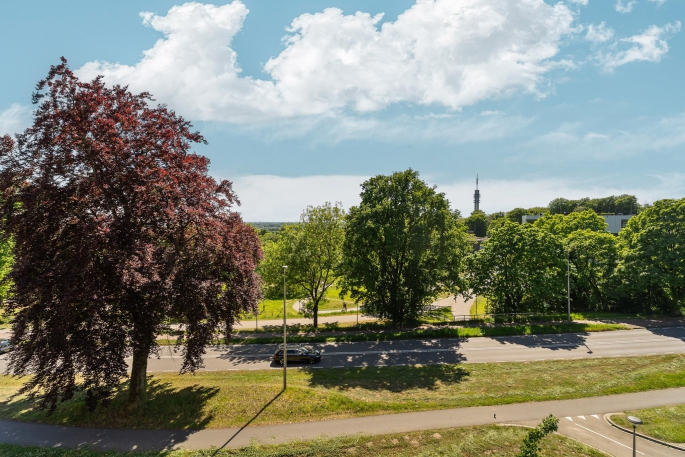 Bauerstraat 39 4, 6813 KZ, Arnhem