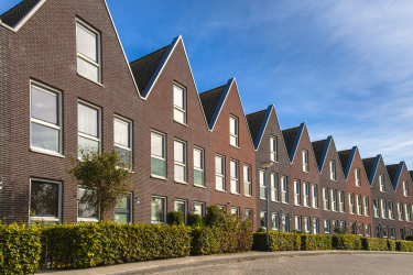 Wat kan u verwachten in het nieuwe jaar?