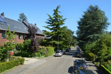 Makelaar Angerenstein